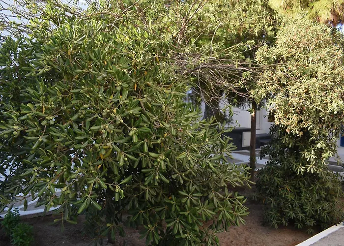 Old Mykonos לינה וארוחת בוקר