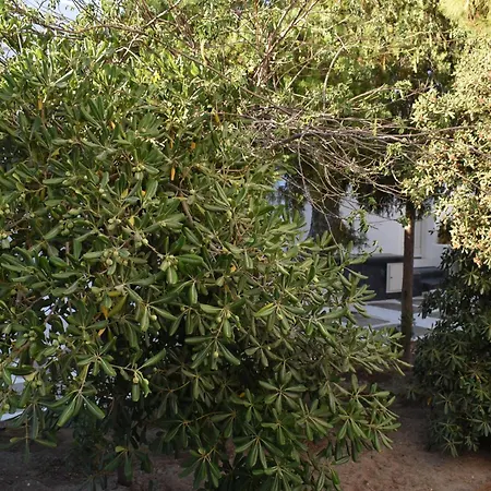 Old Mykonos 住宿加早餐酒店